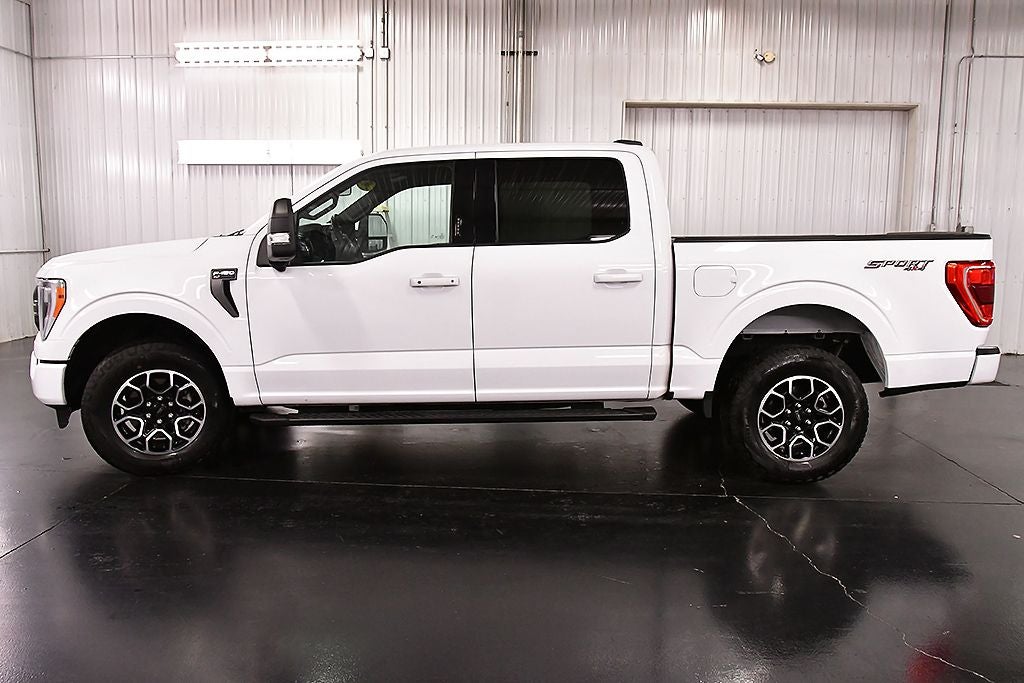 2023 Ford F-150 XLT Sport 5-1/2' Box