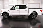 2021 Ford F-150 XLT Sport 5-1/2' Box