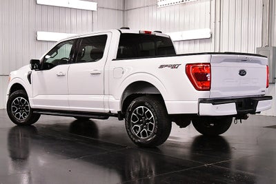 2021 Ford F-150 XLT Sport 5-1/2' Box