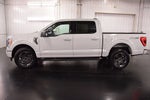 2023 Ford F-150 XLT Sport 5-1.2' Box