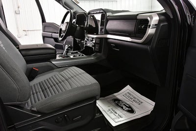 2023 Ford F-150 XLT Sport 5-1/2' Box