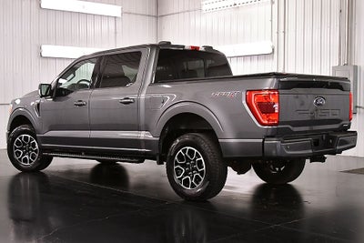 2023 Ford F-150 XLT Sport 5-1/2' Box