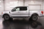 2023 Ford F-150 XLT Sport 5-1/2' Box