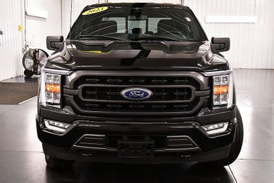 2023 Ford F-150 XLT Sport 5-1/2' Box