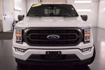 2023 Ford F-150 XLT Sport 5-1/2' Box