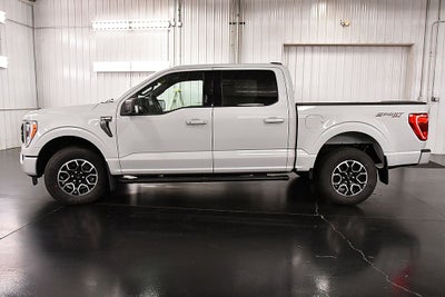 2023 Ford F-150 XLT Sport 5-1/2' Box