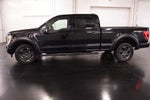 2023 Ford F-150 XLT Sport 6-1/2' Box