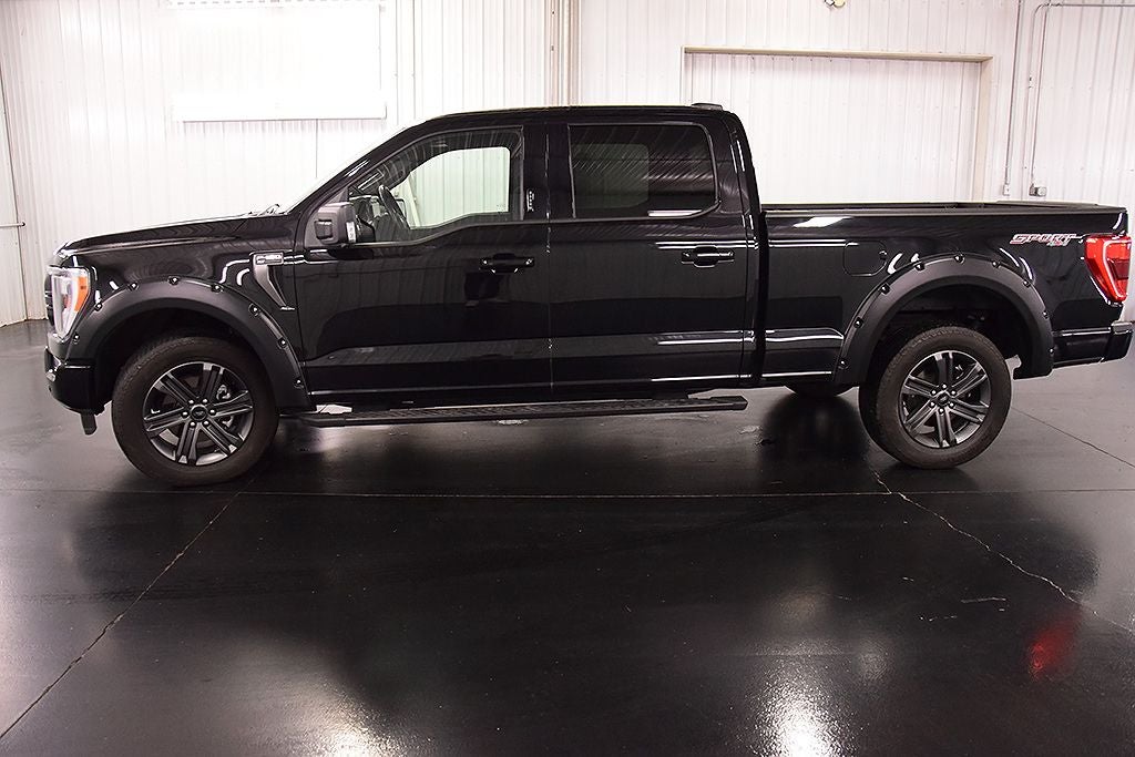 2023 Ford F-150 XLT Sport 6-1/2' Box