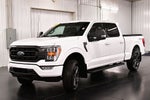 2023 Ford F-150 XLT Sport 6-1/2' Box
