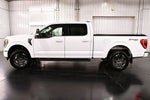 2023 Ford F-150 XLT Sport 6-1/2' Box