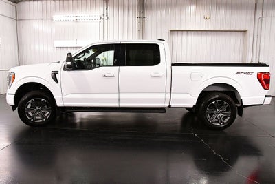 2023 Ford F-150 XLT Sport 6-1/2' Box