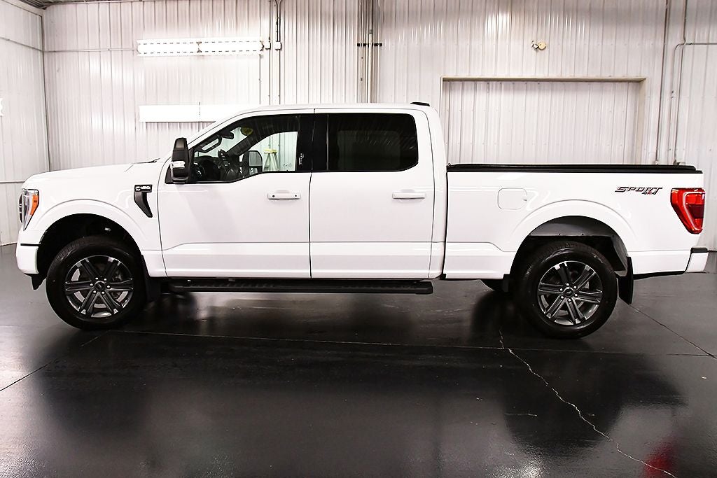 2023 Ford F-150 XLT Sport 6-1/2' Box