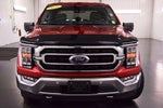 2021 Ford F-150 XLT 5-1/2' Box