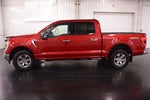 2021 Ford F-150 XLT 5-1/2' Box