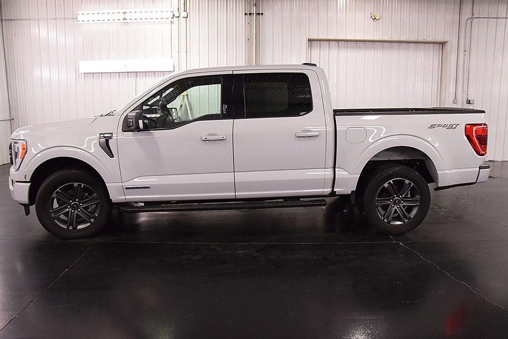 2023 Ford F-150 XLT Sport 5-1/2' Box