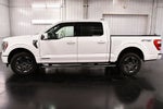2023 Ford F-150 Lariat Sport 5-1/2' Box