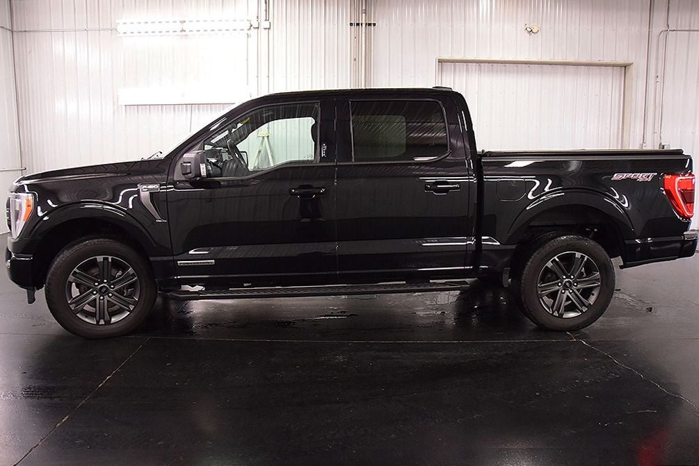 2023 Ford F-150 XLT Sport 5-1/2' Box