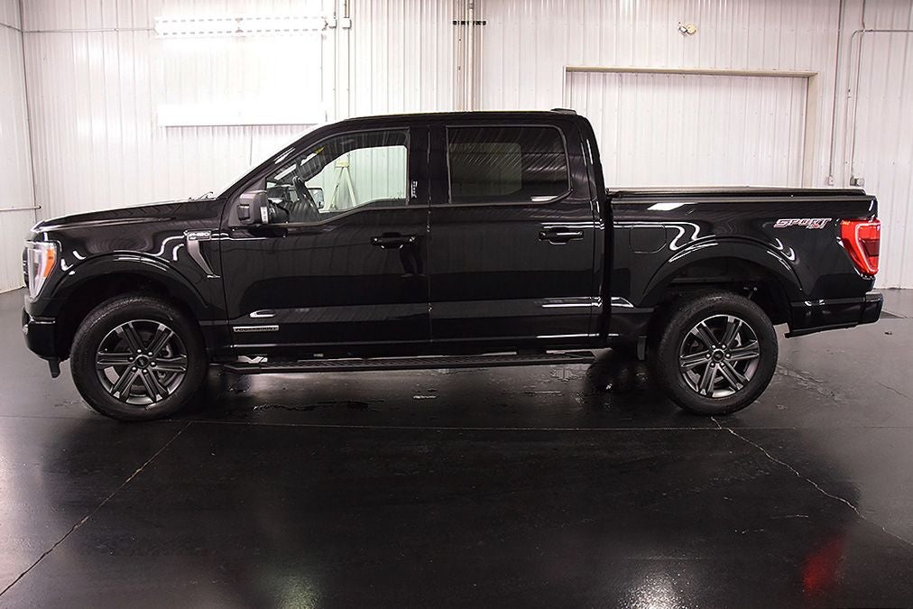 2023 Ford F-150 XLT Sport 5-1/2' Box