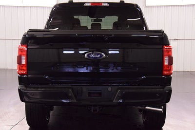 2023 Ford F-150 XLT Sport 5-1/2' Box