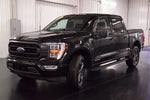 2023 Ford F-150 XLT Sport 5-1/2' Box