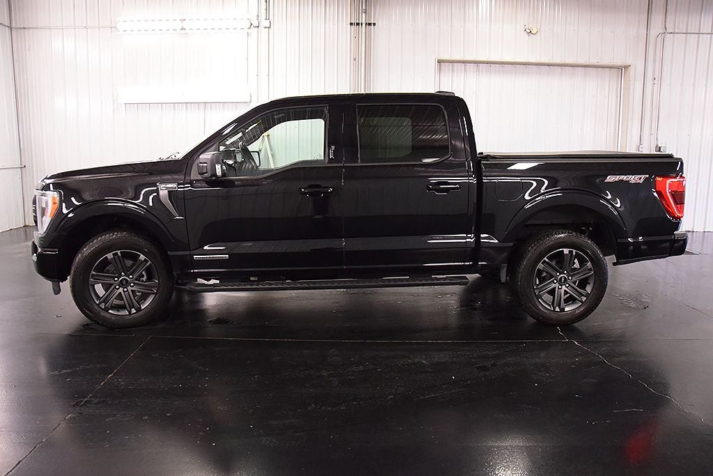 2023 Ford F-150 XLT Sport 5-1/2' Box
