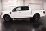 2023 Ford F-150 XLT Sport 5-1/2'Box
