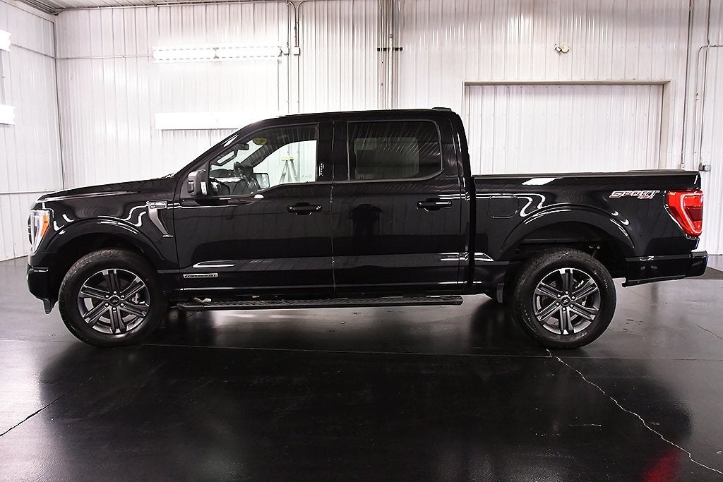2023 Ford F-150 XLT Sport 5-1/2' Bpx