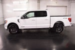 2023 Ford F-150 XLT Sport 5-1/2' Box