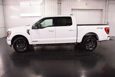 2023 Ford F-150 XLT Sport 5-1/2' Box