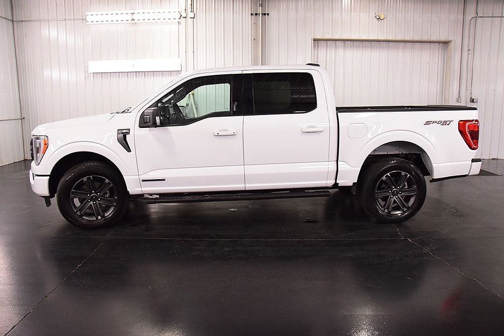 2023 Ford F-150 XLT Sport 5-1/2' Box