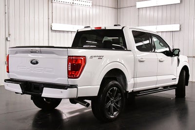 2023 Ford F-150 XLT Sport 5-1/2' Box