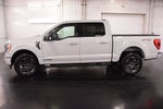 2023 Ford F-150 XLT Sport 5-1/2' Box