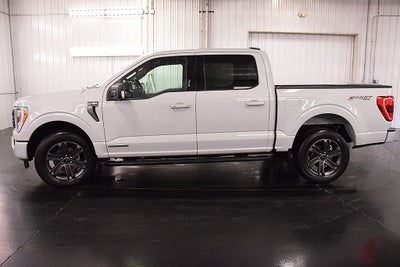 2023 Ford F-150 XLT Sport 5-1/2' Box