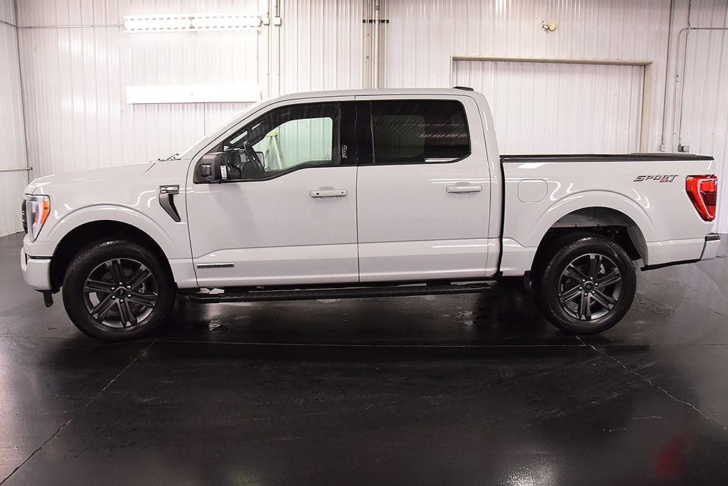 2023 Ford F-150 XLT Sport 5-1/2' Box