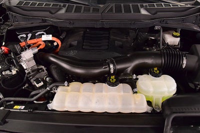 2023 Ford F-150 XLT Sport 5-1/2' Box