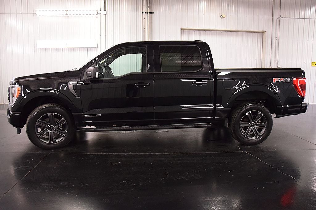 2023 Ford F-150 XLT Sport 5-1/2' Box