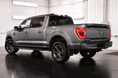 2023 Ford F-150 XLT Sport 5-1/2' Box