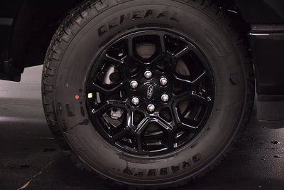 2025 Ford F-150 XLT 5-1/2' Box