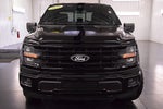 2025 Ford F-150 XLT 5-1/2' Box