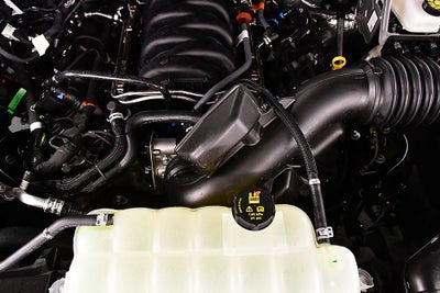 2026 Ford F-150 XLT 5-1/2' Box