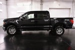 2024 Ford F-150 XLT 5-1/2' Box
