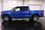 2024 Ford F-150 XLT 5-1/2' Box