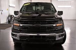 2024 Ford F-150 XLT 6-1/2' Box