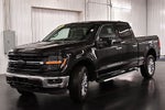 2024 Ford F-150 XLT 6-1/2' Box