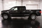 2024 Ford F-150 XLT 6-1/2' Box