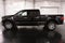 2024 Ford F-150 XLT 6-1/2' Box