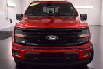 2024 Ford F-150 XLT 5-1/2' Box