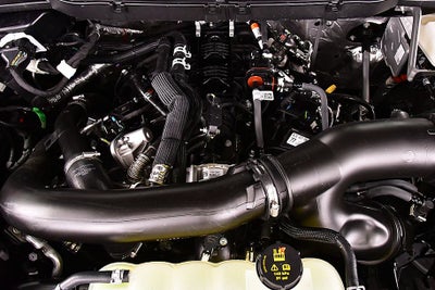 2026 Ford F-150 XLT 6-1/2' Box