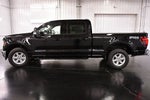 2026 Ford F-150 XLT 6-1/2' Box