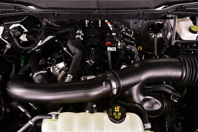 2026 Ford F-150 XLT 5-1/2' Box